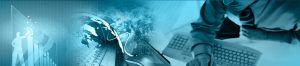 Custom Software Development and Integration
